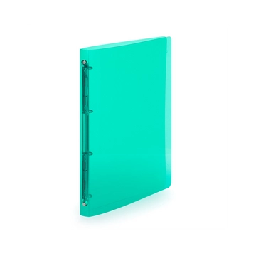 Gyűrűskönyv A4, 4 gyűrűs 2cm gerinc áttetsző PP,  Karton P+P Lines zöld