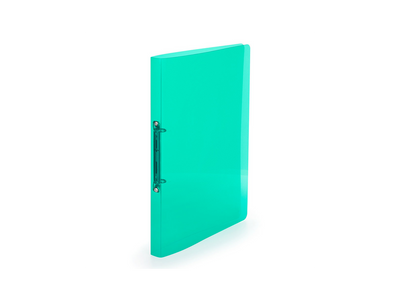Gyűrűskönyv A4, 2 gyűrűs 2cm gerinc áttetsző PP,  Karton P+P Lines zöld